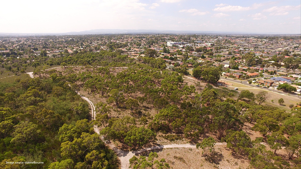 THE SPINES FLORA AND FAUNA RESERVE